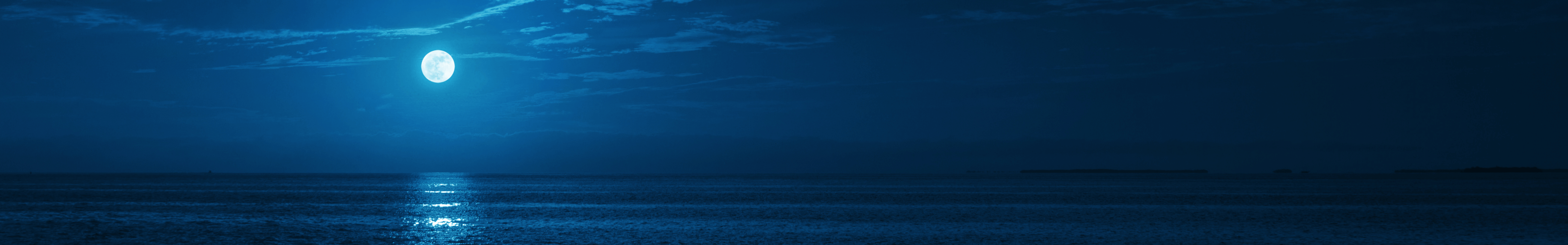 WordPress Header